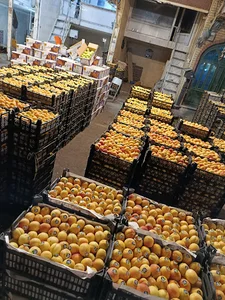 بنگاه بار فروشی حسین امیری