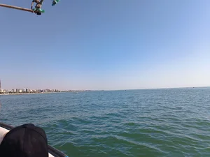 پارک آلاله