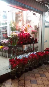 گل فروشی گل سرخ