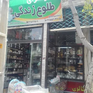 طلوع زندگی