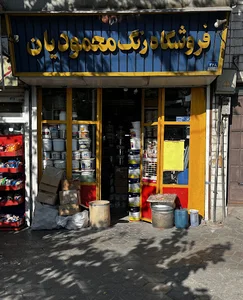 رنگ محمودیان