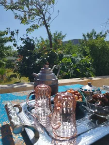باغ مدآ