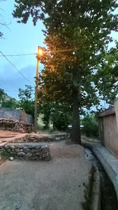 حه وزوو زه ینالی (حوض زین علی)