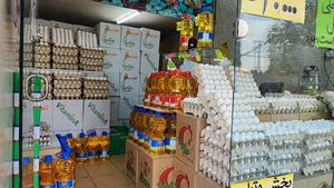 پخش تخم مرغ فلامینگو 5