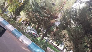 پارک شهرداری