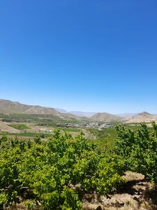 باغ برآفتاب