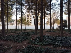 بوستان ارشاد