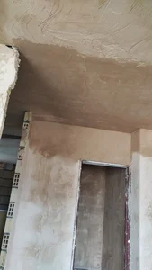 علیرضا جدیدالسلامی 2