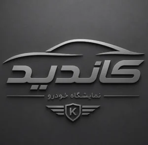اتو گالری کاندید 3