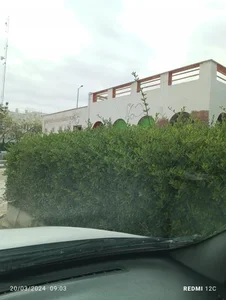پارک مادر 5