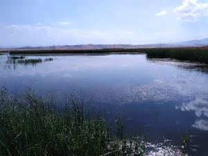 Hasanlu Wetland