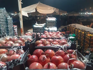 بارفروشی و حق العمل کاری برادران اویسی