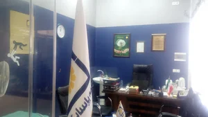 بیمه پاسارگاد