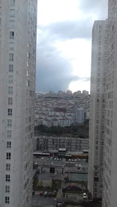 گشت گل یاس