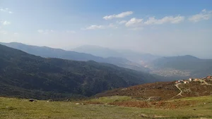 بام فیلبند