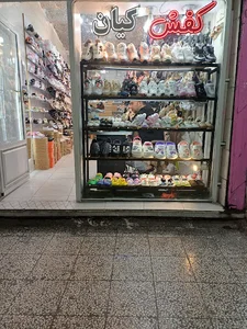 الکتریکی فاراد