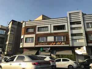 چلوکباب جوان گیشا 4