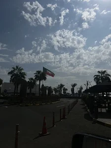 علوش