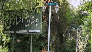 بوستان افشاری 4