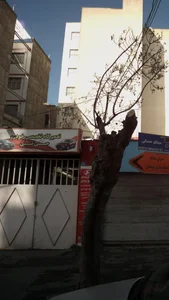 تعمیرگاه تخصصی خودرو جی تی