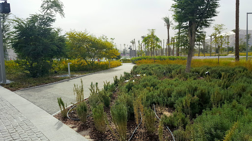 Flag Square