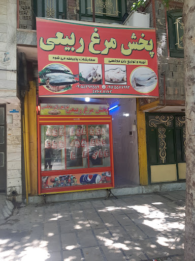 مرغ ربیعی