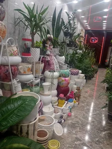 گلفروشی سپهر