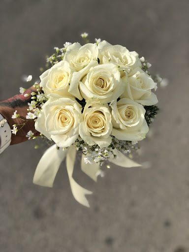 گلسرای آذین 2