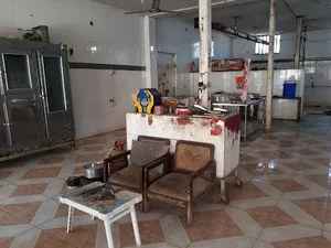 قصابی جهاندیده
