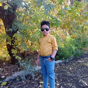 بوستان ولایت