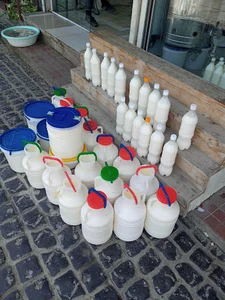 سوپر لبنیات و گوشت موحدی