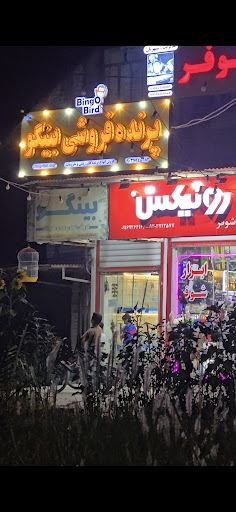 پرنده فروشی بینکو