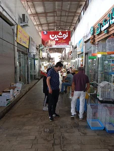 فروشگاه سیسمونی ارزان