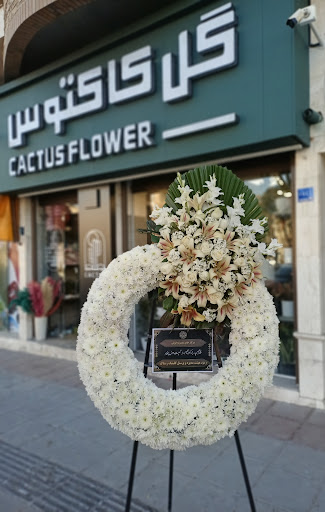 گلفروشی کاکتوس