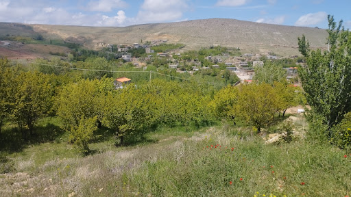 باغ‌محمد‌علی‌محمدی