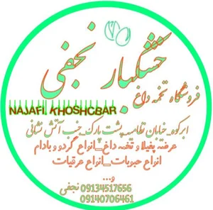 فروشگاه تخمه داغ