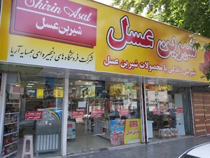فروشگاه شیرین عسل