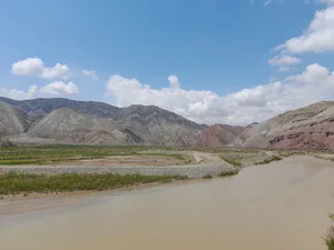 خدمات کامپیوتری و کلوپ آریانا