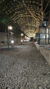 باغ آلونک