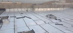 معصومه خضرلو 3