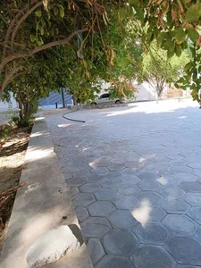 پارک زعفرانیه