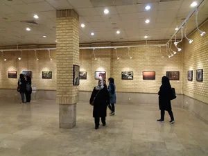 سینما ناجی 4