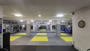 باشگاه ورزشي سرو البرز 3