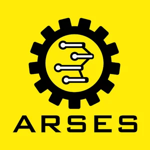 Arses accounting company
