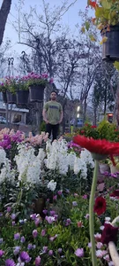 دانشگاه چمران گرگان