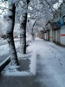 بانک مسکن