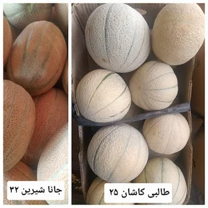 میوه فروشی محصولات سالم