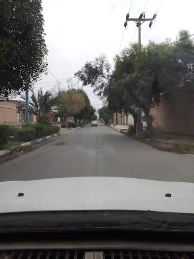 کوی مجاهد