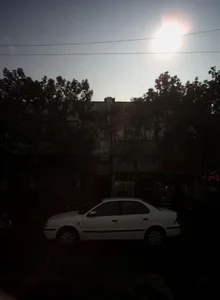 سوپر پروتئین آزادی