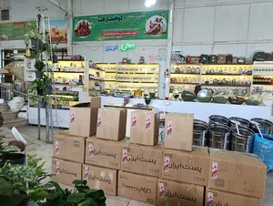 روستا بازار